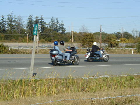 View from the gas station  