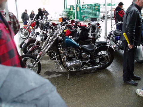 Show Bikes