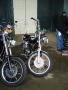 Show Bikes