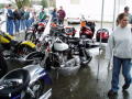 Show Bikes